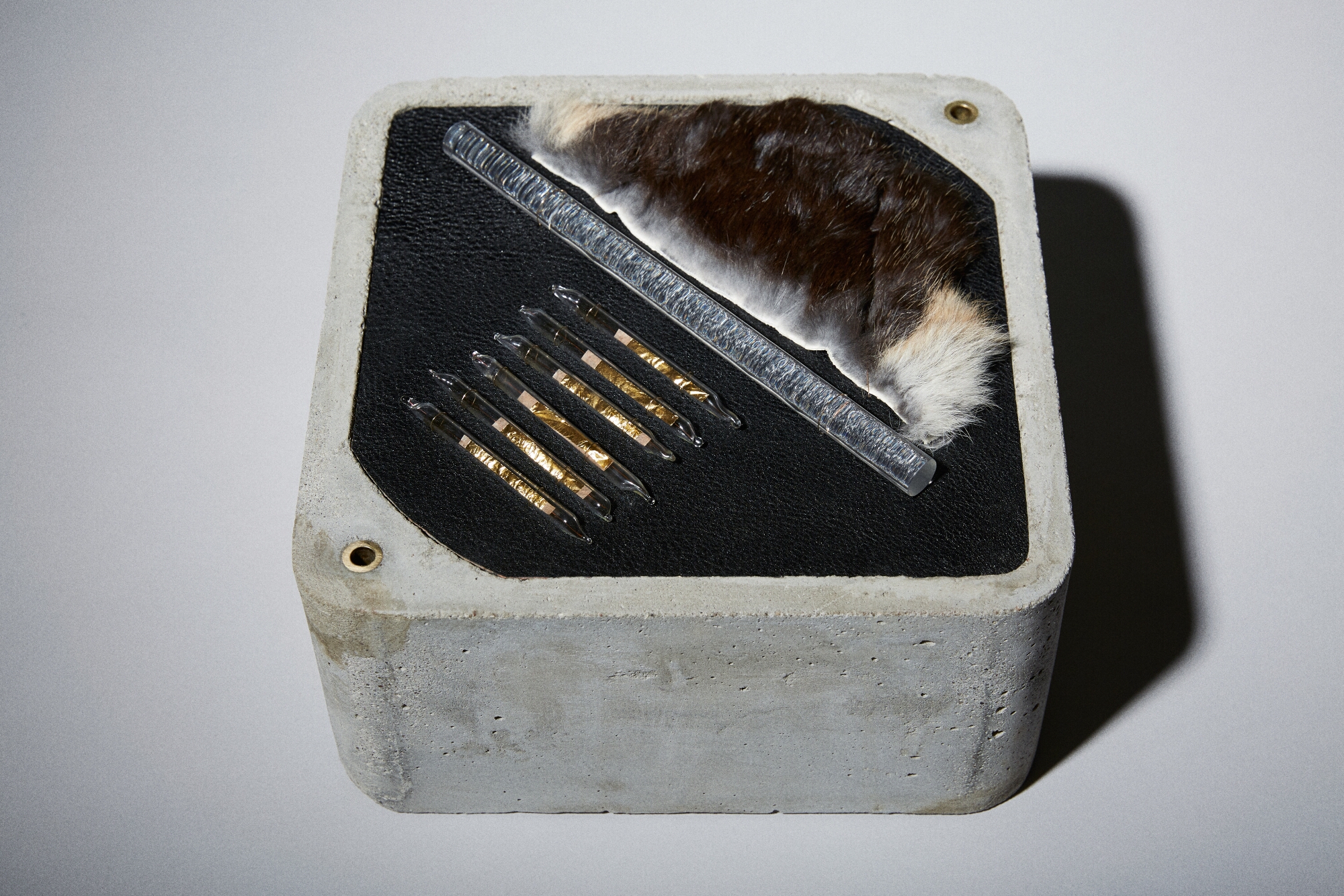Autoradiography